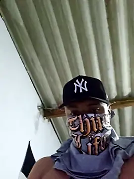 novinho br29 online show from 02-01-26, 08:34