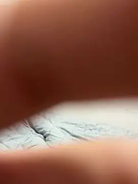 elephant0 online show from 01-13-26, 06:01