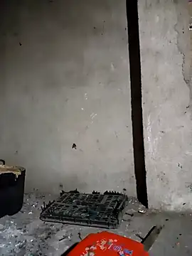 Nga x9 online show from 03-24-26, 10:21