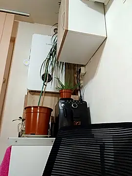 AdaJoy online show from 03-17-26, 09:29