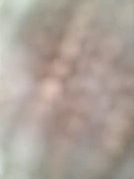 allenyalana online show from 02-24-26, 03:57