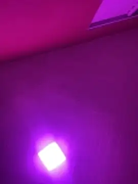 MorenaCariok online show from 02-17-26, 04:37