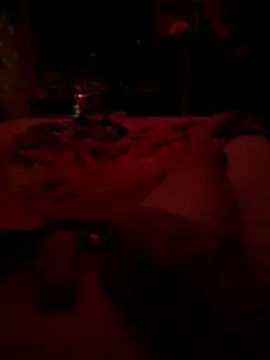 Casaldafadexx online show from 03-04-26, 03:58