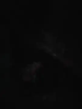 Snapshot of ronwood4 chatting on 06-01-26, 03:51 ronwood4 online show from 06-01-26, 03:51