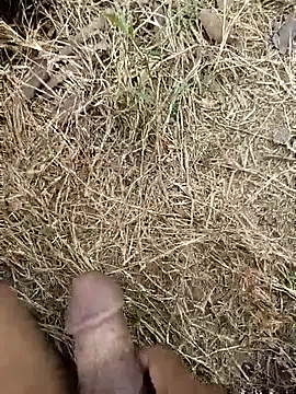 ankit barma009 online show from 02-03-26, 09:03