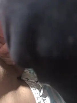 casalnovinho18z online show from 01-19-26, 04:33