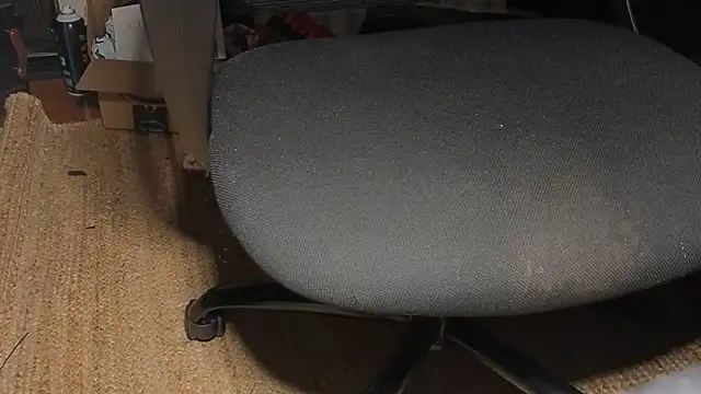kayishard online show from 05-25-26, 08:02