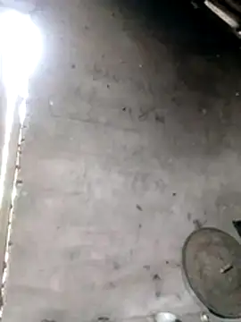 Gummiesu online show from 02-03-26, 06:40