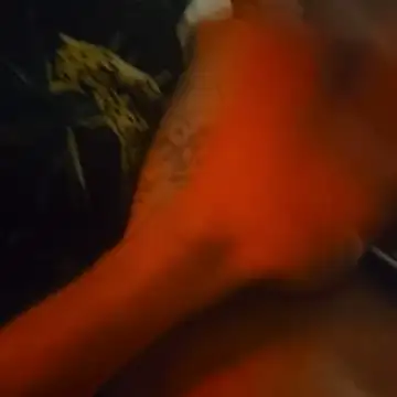 BlnAktivGay online show from 03-15-26, 02:07