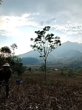 Jooj- online show from 03-22-26, 09:00