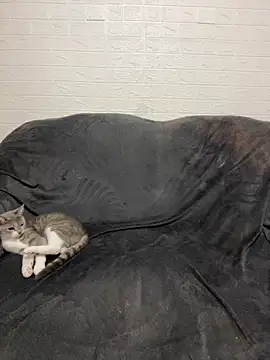 AlisRoxy online show from 02-28-26, 09:25