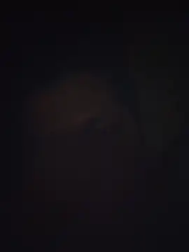 Pravin9562 online show from 03-04-26, 07:10