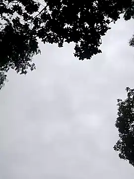 Juli rathore online show from 07-20-26, 01:57