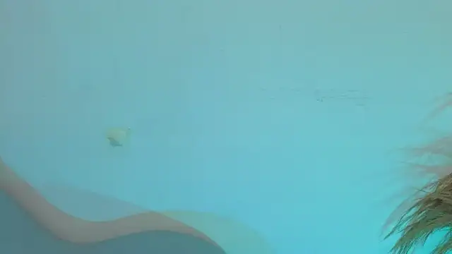 Snapshot of fransheskarossi chatting on 06-26-26, 11:27 fransheskarossi online show from 06-26-26, 11:27