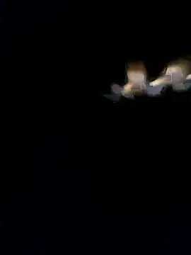 Marilyndackaria  online show from 03-29-26, 11:01