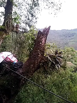 lia-coy online show from 04-19-26, 12:44