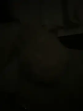 Snapshot of japosamel chatting on 05-15-26, 11:58 japosamel online show from 05-15-26, 11:58