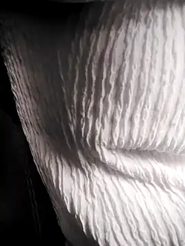 RosseLaure online show from 02-25-26, 07:58