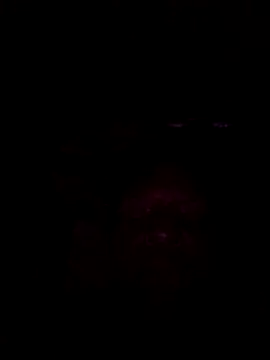 01Wetlips online show from 06-15-26, 01:28