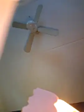 dewimp1 online show from 02-03-26, 08:52