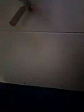 dewimp1 online show from 02-01-26, 10:13