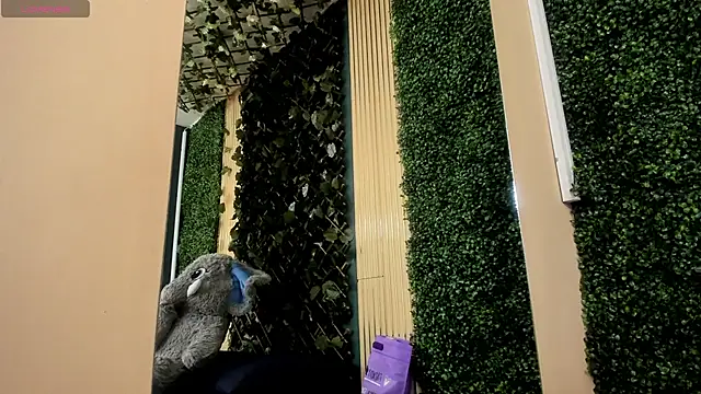 AmberAddamss online show from 02-22-26, 02:41