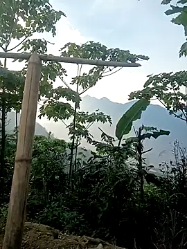 cutebobi online show from 03-30-26, 09:55