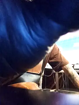 blackninja66 online show from 03-13-26, 02:27