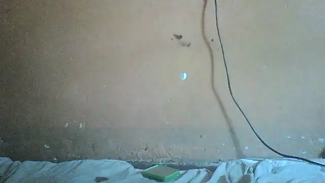 Sexyass100 online show from 04-17-26, 10:07