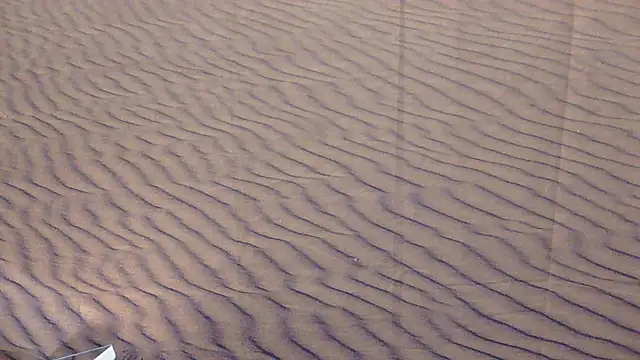 BusyB1983 online show from 03-20-26, 12:44