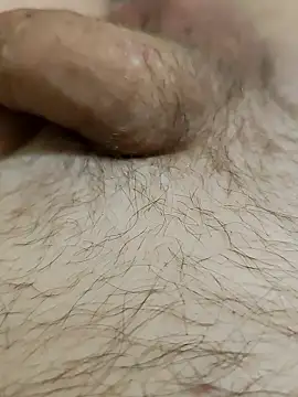 Halunja online show from 02-03-26, 07:30