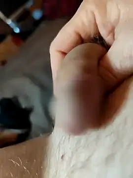 Halunja online show from 03-05-26, 04:47