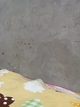 Kowew-nkie online show from 02-04-26, 12:44