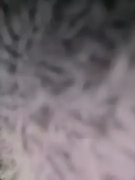 Snapshot of Puka2001 chatting on 03-02-26, 06:14 Puka2001 online show from 03-02-26, 06:14