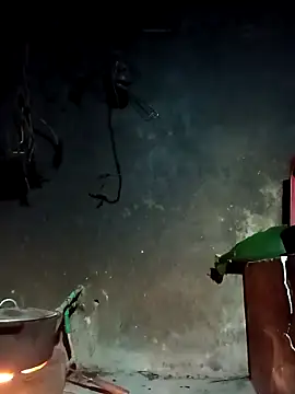 Hoa-tuylip online show from 03-04-26, 10:17