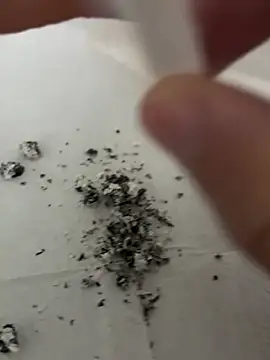 Snapshot of dickdondra chatting on 02-02-26, 11:42 dickdondra online show from 02-02-26, 11:42