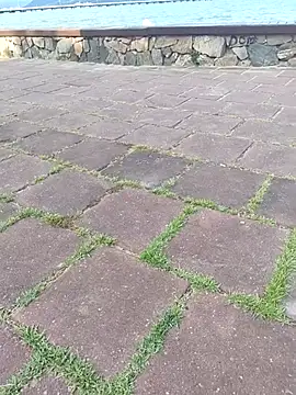 Gustavo52367 online show from 02-20-26, 07:27