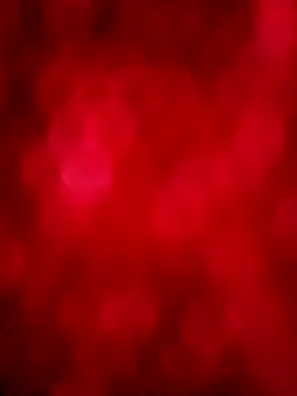 negrim10 online show from 02-12-26, 03:56