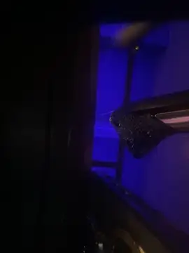 valle salvaje online show from 04-11-26, 04:32