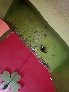 Riyakumari hot66 online show from 04-05-26, 04:02