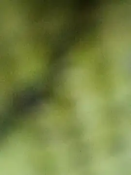 Babli sharma online show from 04-02-26, 08:10