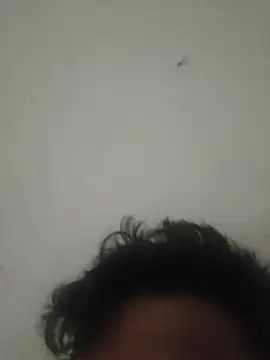 GTX-8194 online show from 03-27-26, 08:22