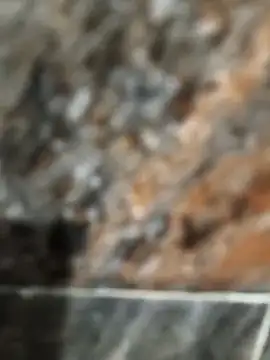 Bengal Tiger420 online show from 04-17-26, 06:33