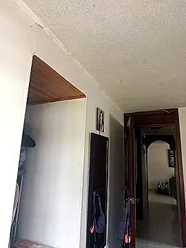 maynor 1998 online show from 03-01-26, 06:08