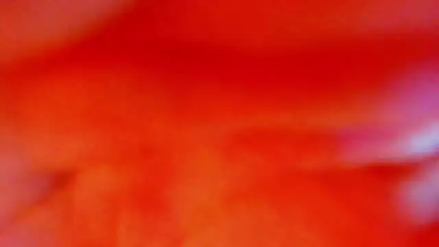 Katty Kiiss  online show from 05-05-26, 04:04