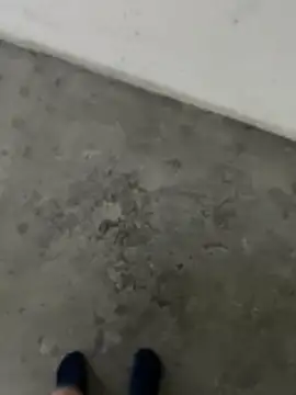 Wvpppp online show from 02-24-26, 08:37