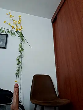 Luis prince  online show from 02-03-26, 06:24