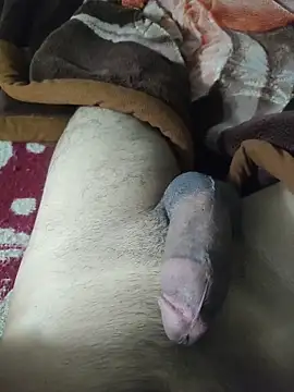 amirMohamed58 online show from 03-09-26, 09:18