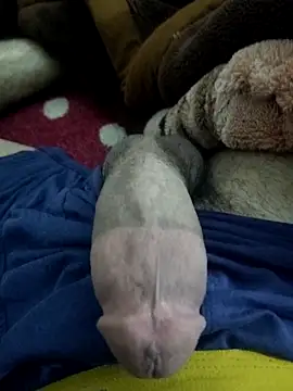 Snapshot of amirMohamed58 chatting on 02-23-26, 09:26 amirMohamed58 online show from 02-23-26, 09:26