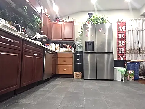 bischo666 online show from 02-24-26, 02:12